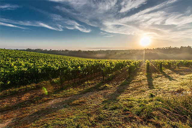 g&eacute;n&eacute;rateur pour l'agriculture